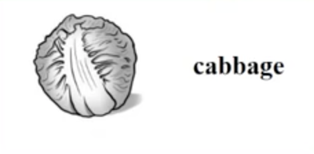 cabbage